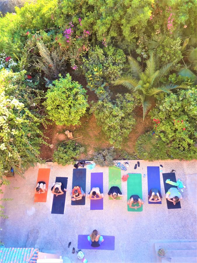 Surf & Yoga Paradise Morocco Hostel Tamraght Ou Fella Екстериор снимка