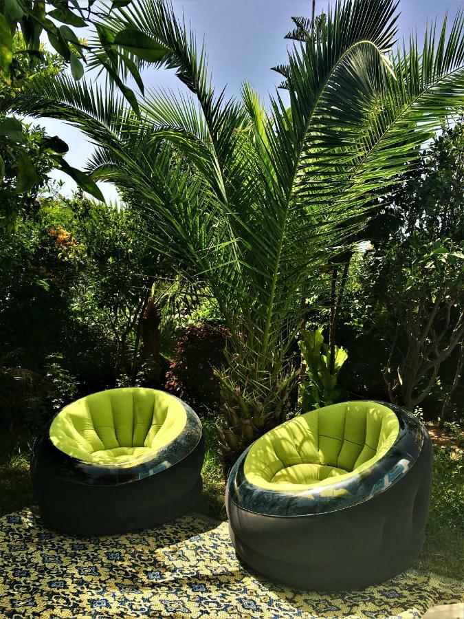 Surf & Yoga Paradise Morocco Hostel Tamraght Ou Fella Екстериор снимка