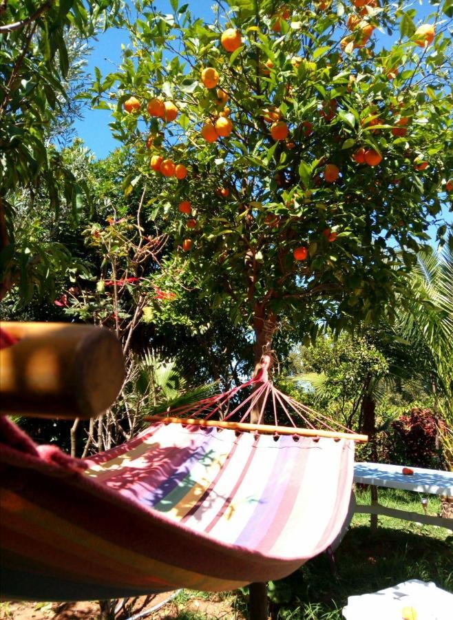 Surf & Yoga Paradise Morocco Hostel Tamraght Ou Fella Екстериор снимка