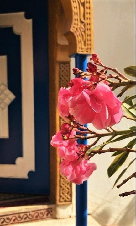 Surf & Yoga Paradise Morocco Hostel Tamraght Ou Fella Екстериор снимка
